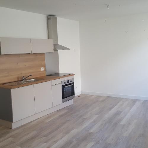 Hugo Paillard Renovation Dappartement Laval APRES1